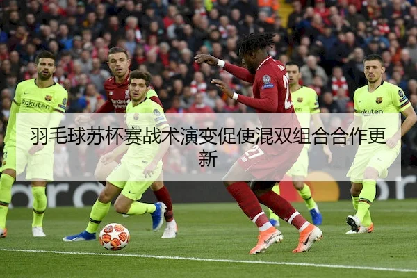 羽毛球苏杯赛战术演变促使混双组合合作更新（Sports）